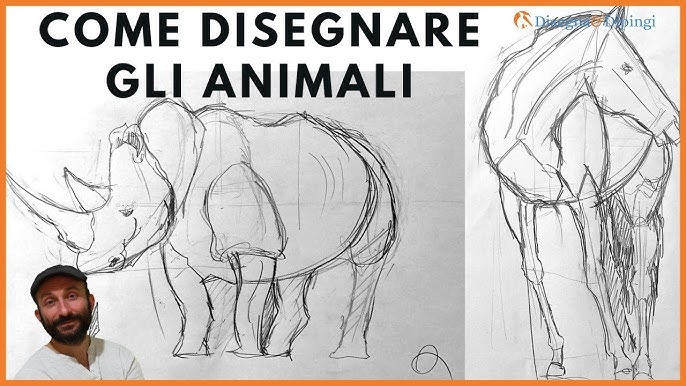 Gli animali. L'arte del disegno. Esercizi