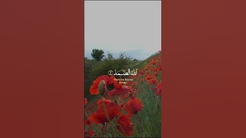 القارئ  #رعدالكردي  #سورة الاخلاص #راحة_نفسية