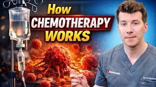 How Chemotherapy Works | Doctor Explains
