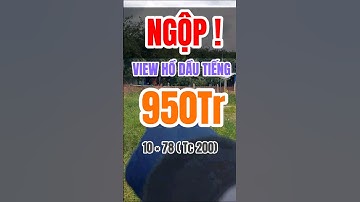 Đất Dầu Tiếng I Ngộp EURO lắm rồi View Hồ Dầu Tiếng 10 × 78 ( Tc 200)#kimbds