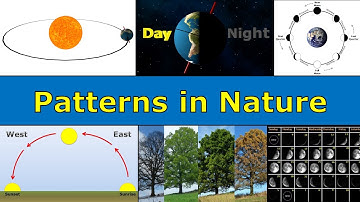 Patterns in Nature Overview