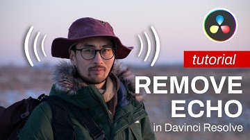 How To Remove Echo in Davinci Resolve Free Version (MacOS Only)