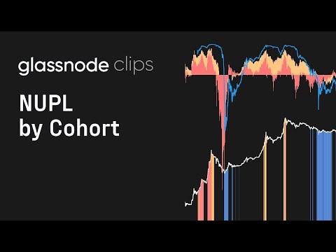 Bitcoin: NUPL by Cohort - Glassnode Clips