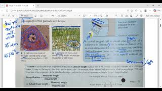 Cell Structure | Organization of organisms | IGCSE/O-levels/MYP Biology (CAIE 0610 / 0970 / 5090 )