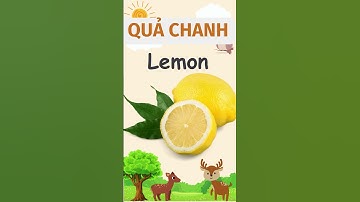 HỌC TIẾNG ANH CÙNG CON CHỦ ĐỀ TRÁI CÂY #hoctienganhcungcon