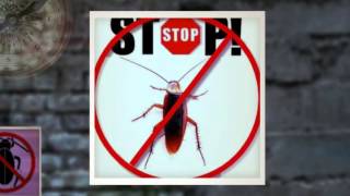 Pest Control Patterson CA - (888) 458-0008