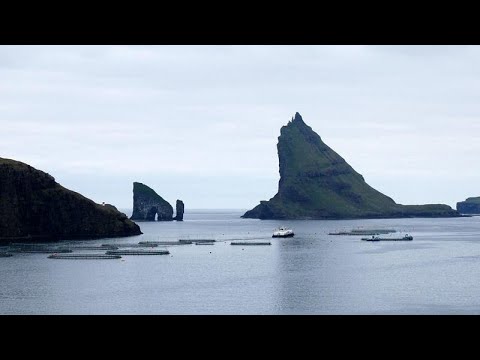 Фарерские острова сотрудничают с Россией
