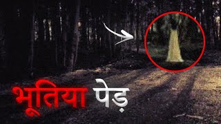 Haunted Tree - भूतिया पेड़ | Real Horror Story | Bhootiya Kahani