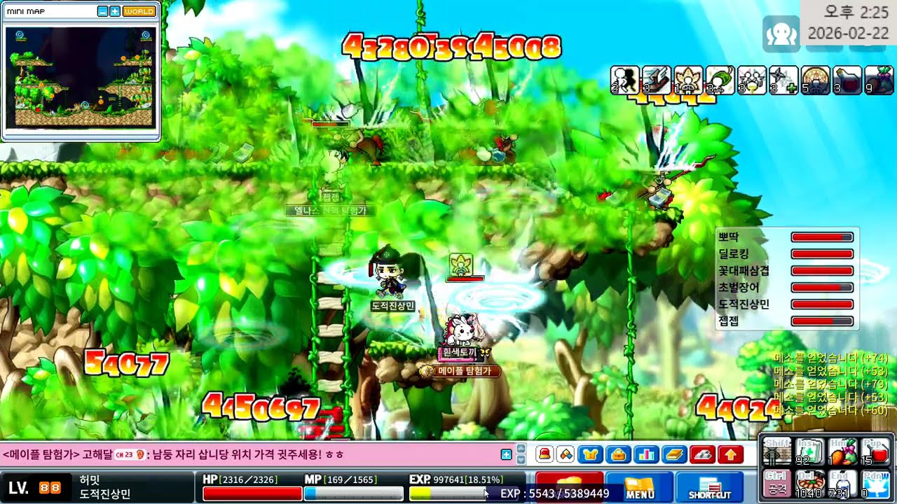 [메랜 겹사범] introvert (신고증거영상) - 4