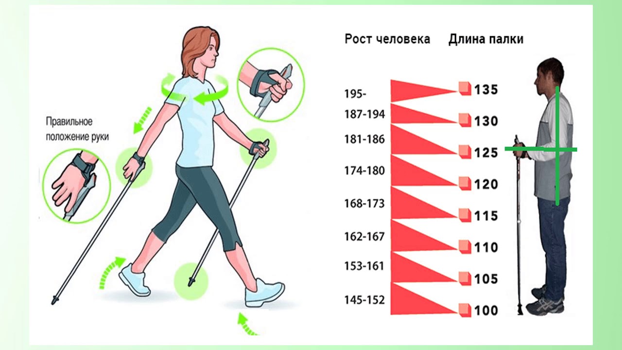 Как называются палки для ходьбы