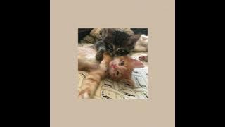 love is an open door - sped up