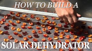 How I Built A Solar Dehydrator For 20 - Full Build Tutorial