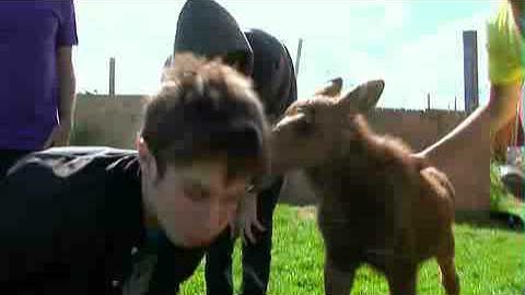 A Cursive Memory- Perfect Company (VIDEO)