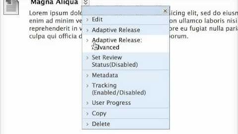 Contextual Menus in Learning Central