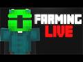 Finnegan Pest farming | Hypixel skyblock