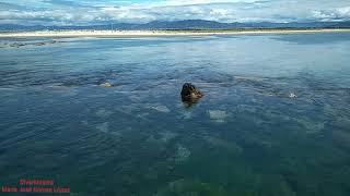 Pontevedra. Galicia. España. Música instrumental relajante.