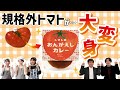 北九州市内の学生が商品化！【トマトのおんがえしカレー】