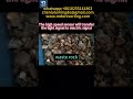 Antimony sorting experiment#antimony #metallurgical #sortingmachine #oresorting