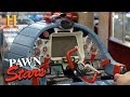 Pawn Stars: Chumlee is Mesmerized by Toy Flight Simulator (Season 13) | History