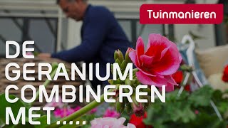Download Lagu Combineer de geranium eens met iets anders | Lente | Tuinmanieren MP3 Download Lagu Combineer de geranium eens met iets anders | Lente | Tuinmanieren MP3