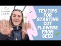 TEN TIPS FOR STARTING CUT FLOWERS FROM SEED | FLOWER FARMING | GROWING FLOWERS | 🌱