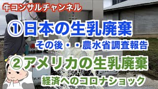 ①生乳廃棄（MMJ関連）その後の農水省調査報告〜②アメリカ酪農家で生乳廃棄が起きている模様、Twitterなどの個人発信でその内情が生生しく報告されています