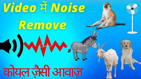 Video Ki Noise Kaise Remove Kare | How to Remove Background Noise From Audio Lab | Hindi