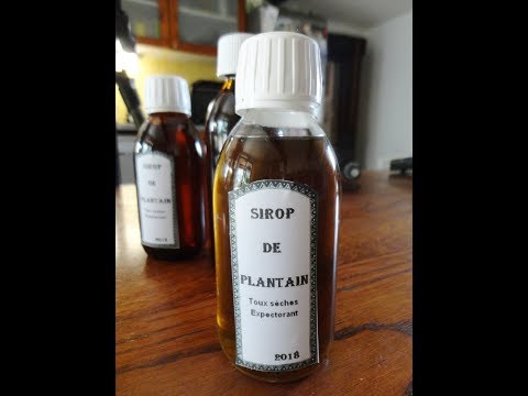 Vidéo: Plantain (herbe) - Propriétés Utiles Et Utilisation Du Plantain Médicinal, Jus De Plantain, Graines De Plantes