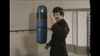Furious (1984) - Kung fu master shoots chickens out of his fingertips