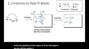 1,2-Insertion and beta-Elimination Mechanisms of Polarized pi Bonds