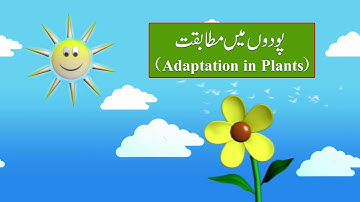 Adaptation in Plants I پودوں میں مطابقت I unit-7 I Grade 3 I SNC I General Knowledge I PEN Academy