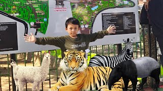 Liburan Keluarga ke Taman Margasatwa Kinantan - Family Vlog Kota Bukittinggi Tahun 2023