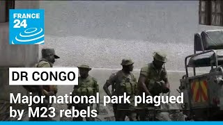 Democratic Republic of Congo: Virunga national park plagued by M23 rebels • FRANCE 24 English