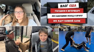 видео: Съездили к Ветеринару | Про Бабушкин Поход к Врачу | Все Ждут Папиной Ласки | Наша Жизнь в Штатах картинка: Съездили к Ветеринару | Про Бабушкин Поход к Врачу | Все Ждут Папиной Ласки | Наша Жизнь в Штатах