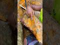The process of finding gold | finding gold in bedrock fragments | finding gold nuggets worth $2500