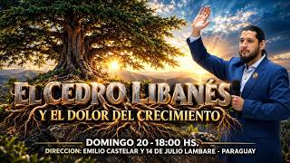 🔥🌳 EL CEDRO LIBANÉS Y EL DOLOR DEL CRECIMIENTO | APÓSTOL JOSÉ DUARTE | EN VIVO 🔥