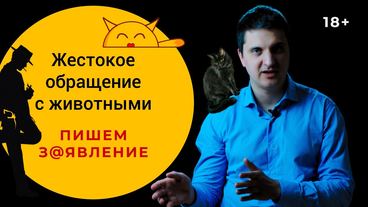 Пишем Заявление о Жестоком Обращении с Животными - YouTube