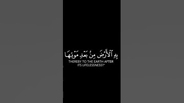اوفرلايز قرآن/ القارئ عبدالرحمن مسعد 🌿 ايآت قرآنيه قصيره ~  شكرًا على دعمكم 🤍🤍