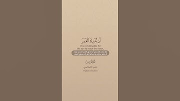 QURAN TRANSLATION - SURAH YASIN (37-40) تلاوة وترجمة القرآن - سورة يس - ناصر القطامي-