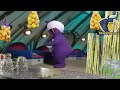 اصحاب محلات القصب    