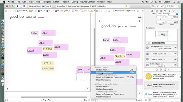 iOSアプリ開発入門AutoLayout #20 Resolve Auto Layout Issuesメニュー解説2