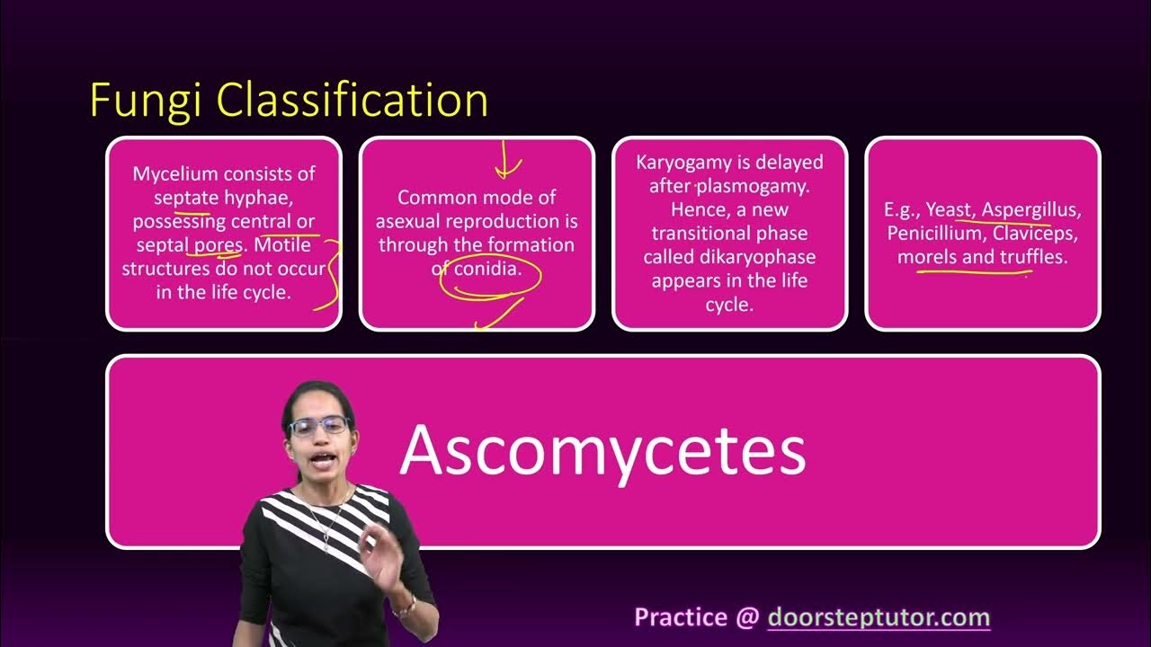 Fungi Classification Basidiomycetes