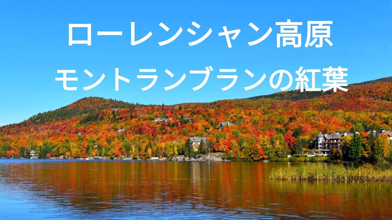 ローレンシャン高原モントランブランリゾートの紅葉状況（2025年9月25