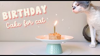 How to make Birthday cake for cat  Eating cake ASMR by Daily DevRex 193 views 1 year ago 3 minutes, 6 seconds