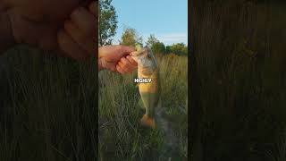 Why Does This Weird Fishing Trick Work? @fishai_app