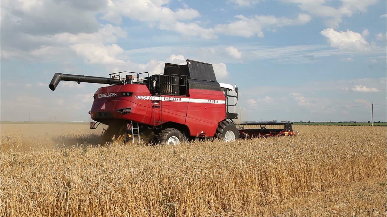 Анфисаның фотосы