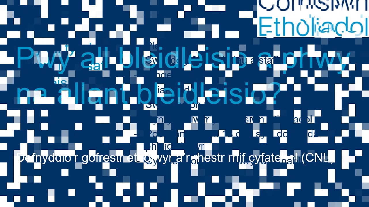 Hyfforddiant Etholiad Seneddol