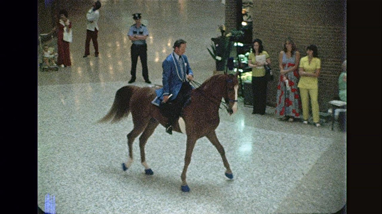 Dancing Horse at Valley View Mall - May 1975 - YouTube