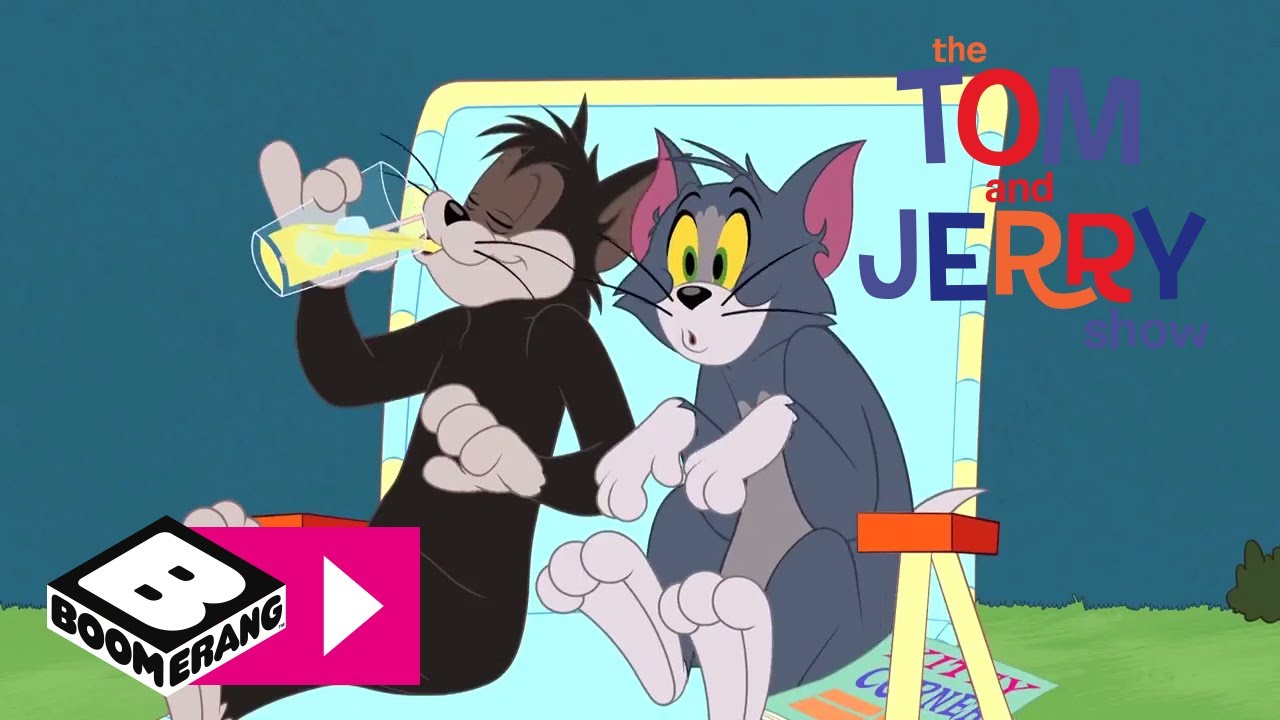 Un gato de callejón ¡Nuevo episodio! El show de Tom & Jerry