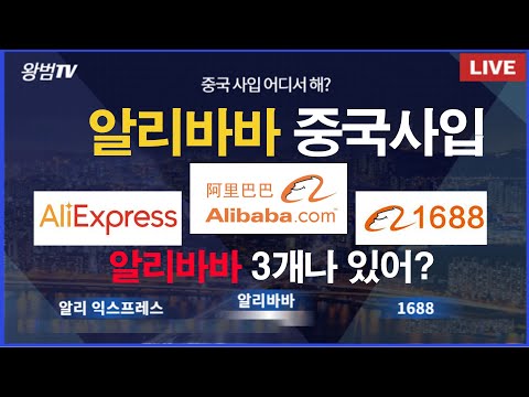 Capa de 1편 중국수입 어디서 수입해야되는걸까? 방법은? 알리바바가 3개?